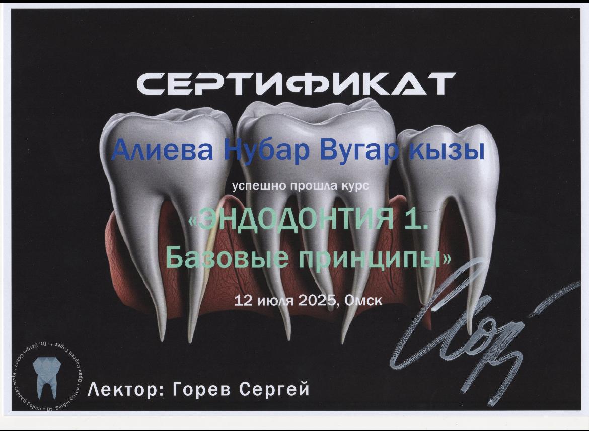 Курс "Эндодонтия 1 «Базовые правила»"